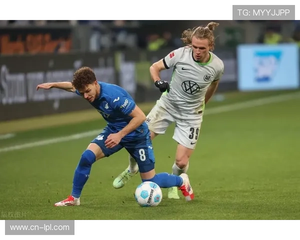 德甲赛季意外之喜:霍芬海姆客场战绩的启示 德甲赛季意外之喜:霍芬海姆客场战绩的启示